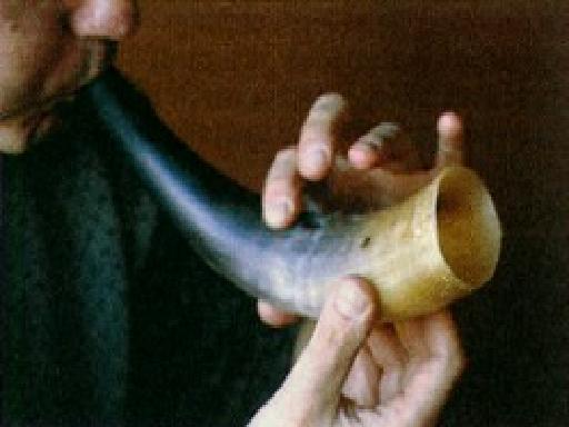 kohorn sandbacksmyren 900.JPG