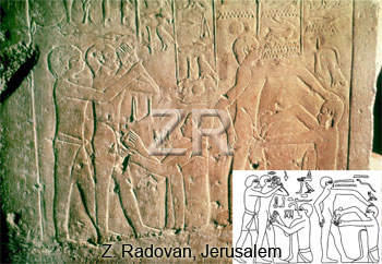 omskaering egyptiske vaegmaleri original_1.jpg omskaering egyptiske vaegmaleri original_1.jpg