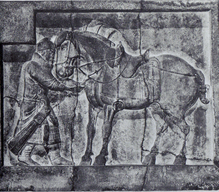 chap23-35.jpg chap23-35.jpg